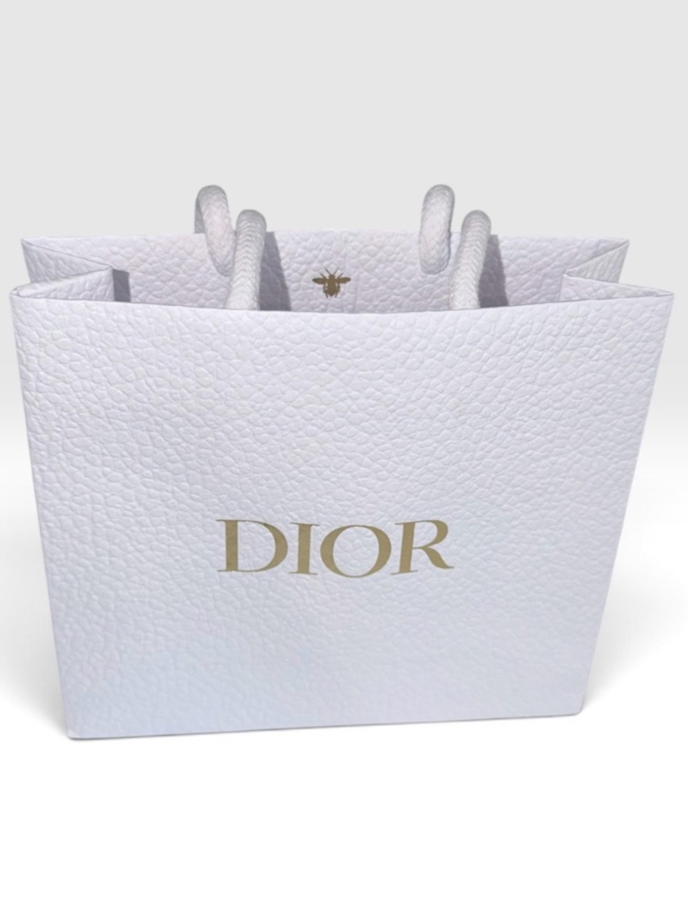 Dior Gift Bag